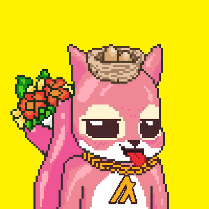 Pixel Squirrels #9503